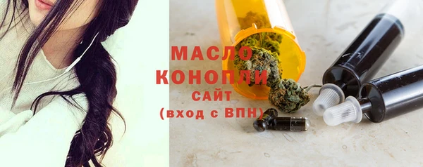 молекула духа Бородино