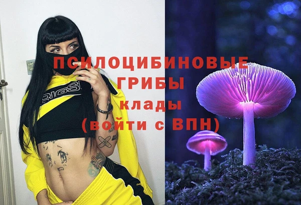 молекула духа Бородино