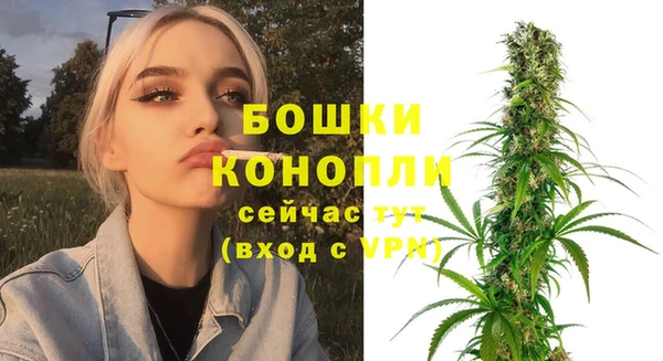молекула духа Бородино