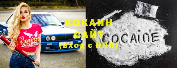 прущая мука Богородицк