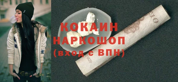 молекула духа Бородино