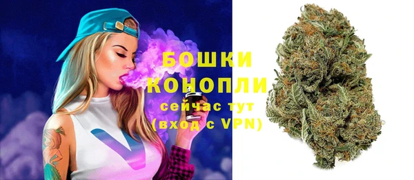 ECSTASY Богородск