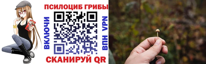 Галлюциногенные грибы GOLDEN TEACHER  Кореновск 